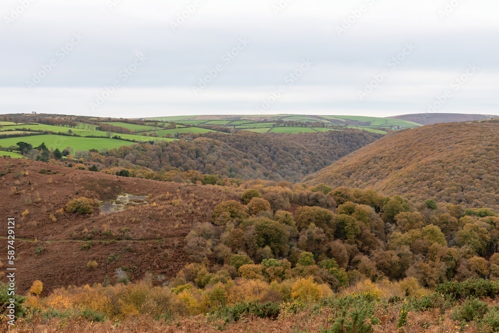 Landscape photo of the autumn colours at Horner woods in Somerset