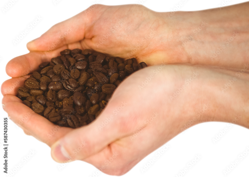 Close up view of hands showing coffee beans Close up view of hands showing coffee beans