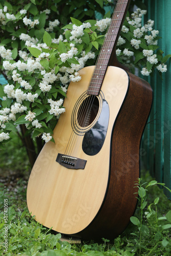Photography An acoustic guitar made of light wood next to a blooming jasmine bush