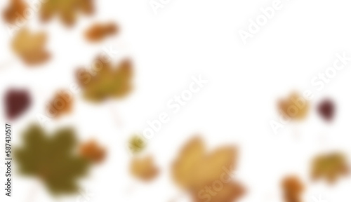Blurry maple leaves
