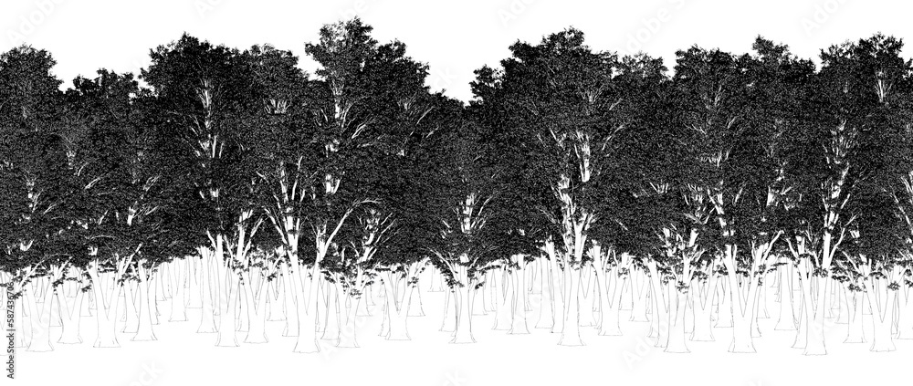 trees in the forest isolated on white background, outline illustration, cg render trees in the forest isolated on white background, outline illustration, cg render