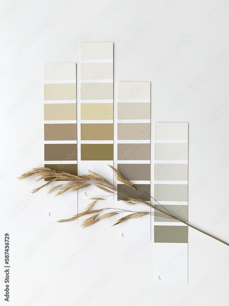 Concept: nature inspires colors. Samples of paints  with dried grass on a white background.  Neutral beige and gray color palette for decorating and design. Natural pastel colors for home renovation - obrazy, fototapety, plakaty 