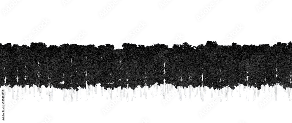 trees in the forest isolated on a transparent background, outline illustration, cg render trees in the forest isolated on a transparent background, outline illustration, cg render