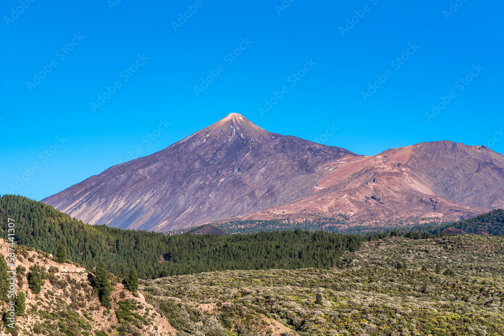 View to Teide volcano and pine forest from Santiago del Teide, Tenerife, Canary Islands, Spain on sunny March day