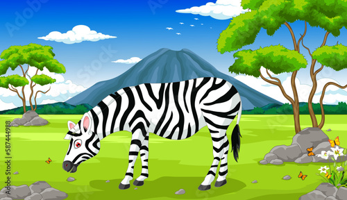 zebra in the jungle