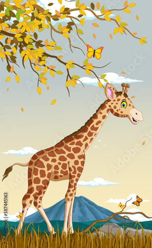 giraffe in the wild