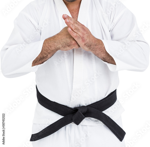 Canvas Print Fighter performing hand salute