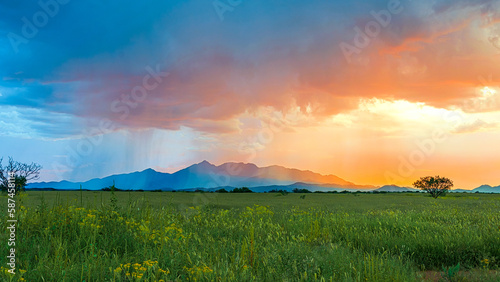 Las Cienegas - Grasslands at sunset