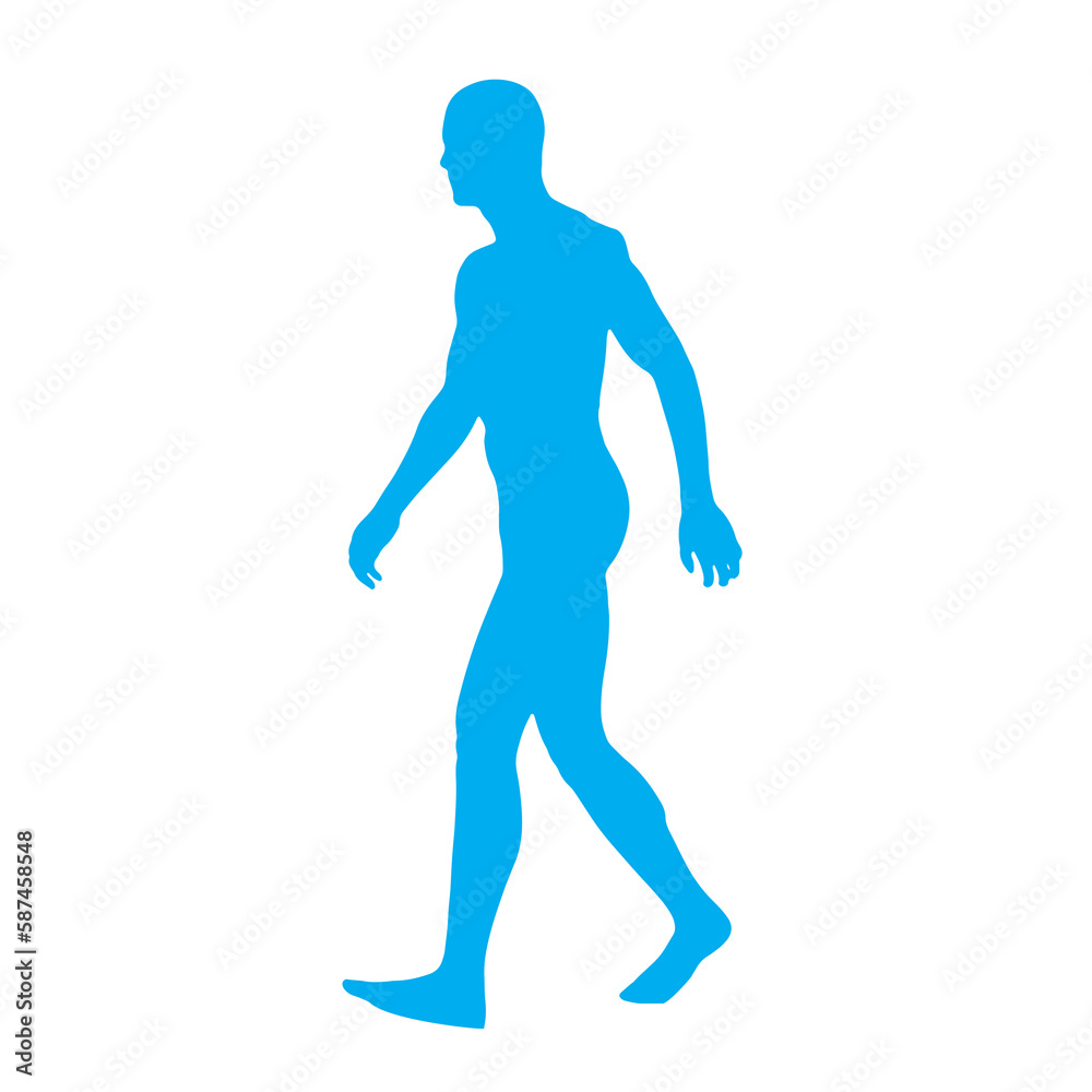 Digitally generated image of human body 