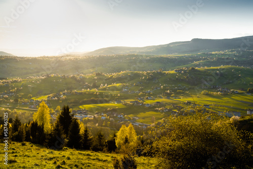 View of blossoming trees with white flowers and green meadows, spring in the Slovak forest,spring weather, Hriňová