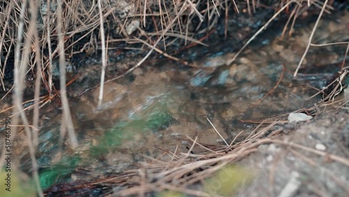 Sukok Nature Reserve photo