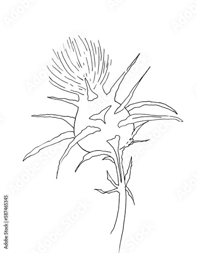 Flower ink hand drawing on white background 
