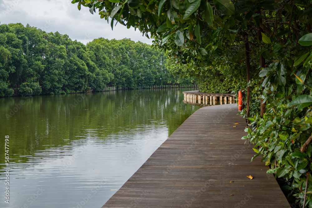 Wooden bridge over the tropical lake with cloudy vibes. The photo is suitable to use for adventure content media, nature poster and forest background.