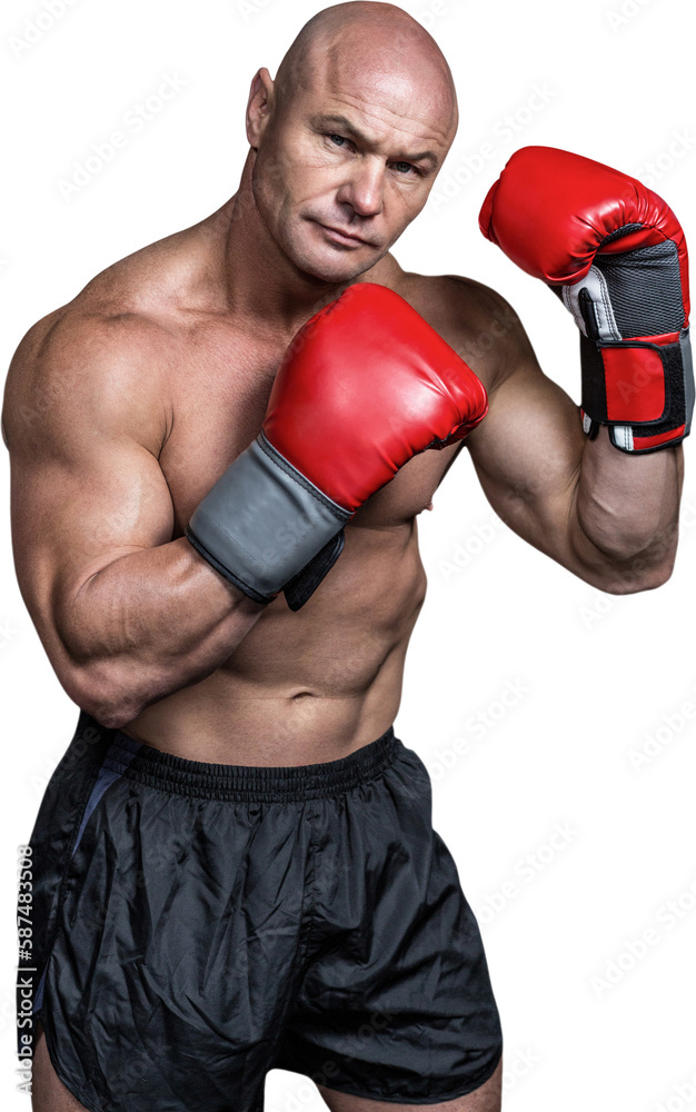 Portrait of boxer with red gloves