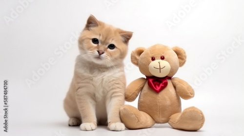 A cute adorable cat with a cute teddy bear, a mothers day banner. © The animal shed 274