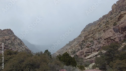 Snow Falling in Red Rock Canyon