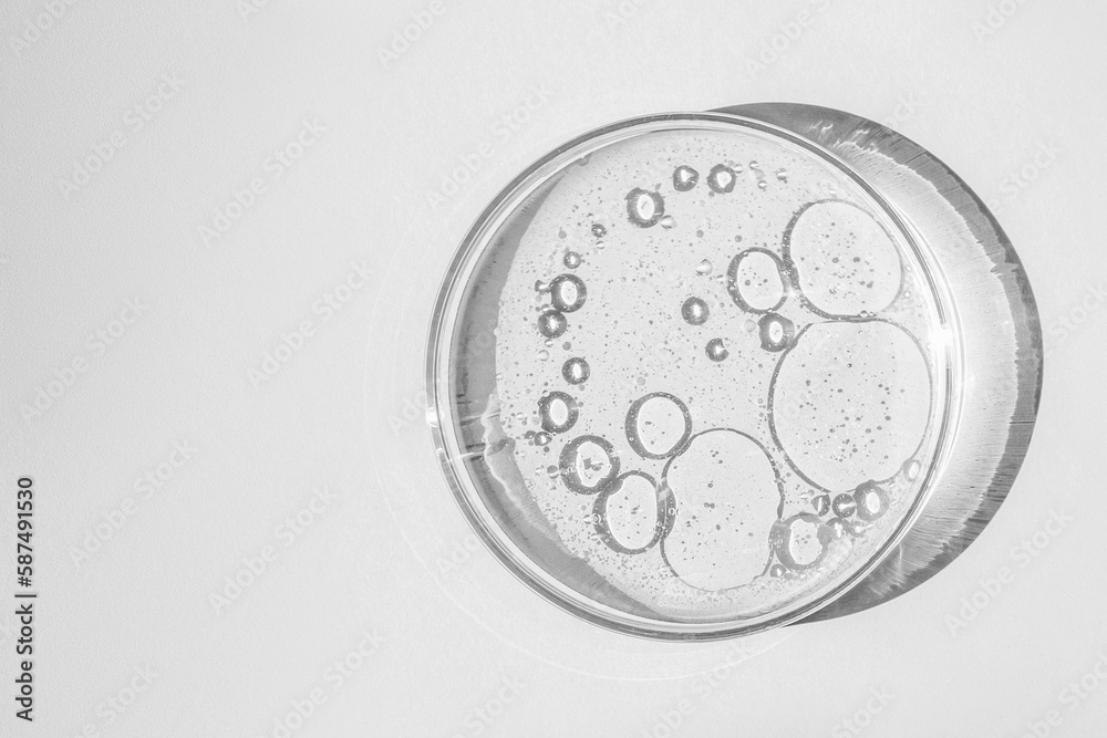 Petri dish. Petri's cup with liquid. Chemical elements, oil, cosmetics. Gel, water, molecules, viruses. Close-up. On a white background. Petri dish. Petri's cup with liquid. Chemical elements, oil, cosmetics. Gel, water, molecules, viruses. Close-up. On a white background.