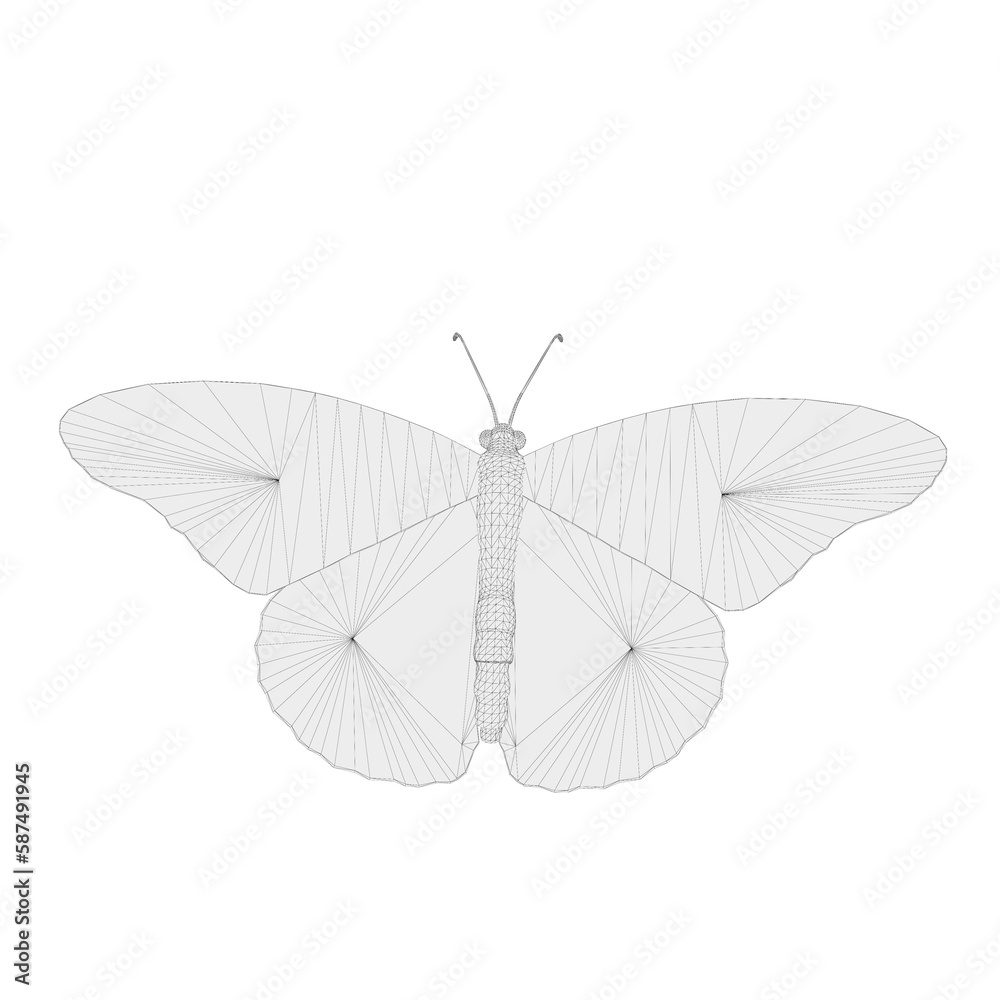 Obraz premium Butterfly vector image material 
