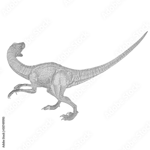 Fototapeta Naklejka Na Ścianę i Meble -  Velociraptor dinosaurs 3