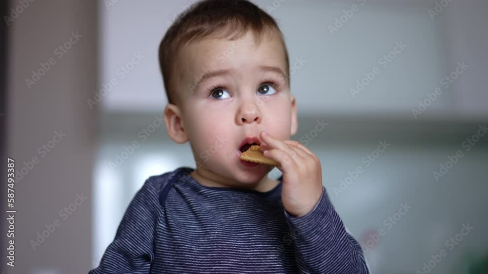 Lovely cute kid eating a cookie. Child chewing the biscuit carefully looking up. Close up. Lovely cute kid eating a cookie. Child chewing the biscuit carefully looking up. Close up.