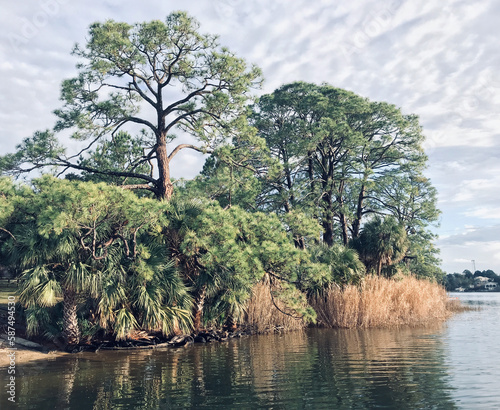 Fototapeta Naklejka Na Ścianę i Meble -  Bright Morning on Southern Bayou