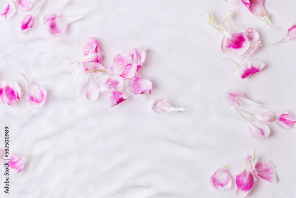 Obraz premium Rose petals in water. Waves, water, petals. floral, water Dripping, pouring.