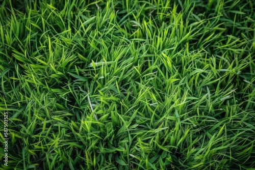 Background with texture and pattern of green, natural grass. Generative AI