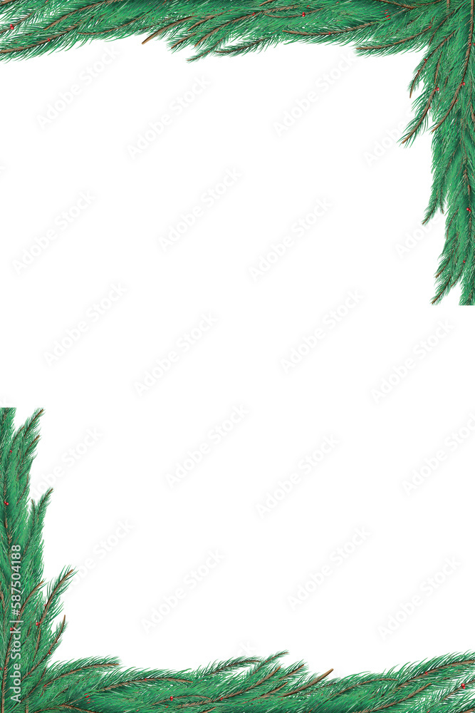 Green fir tree branch frame