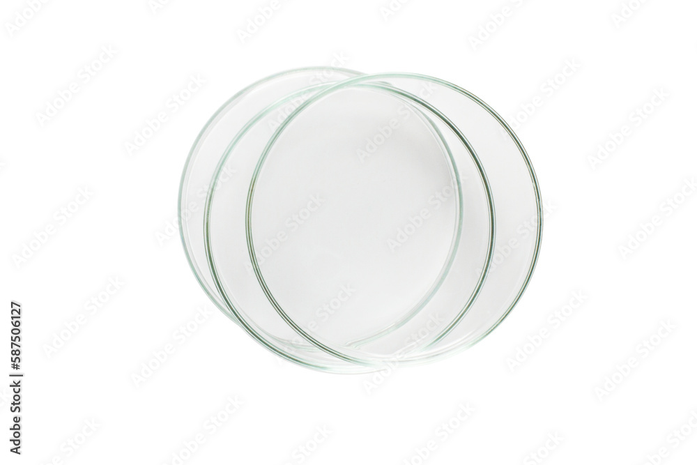 Three Petri dishes empty from glass isolated. Three Petri dishes empty from glass isolated.