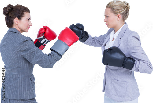 Aggressive businesswomen boxing over white background