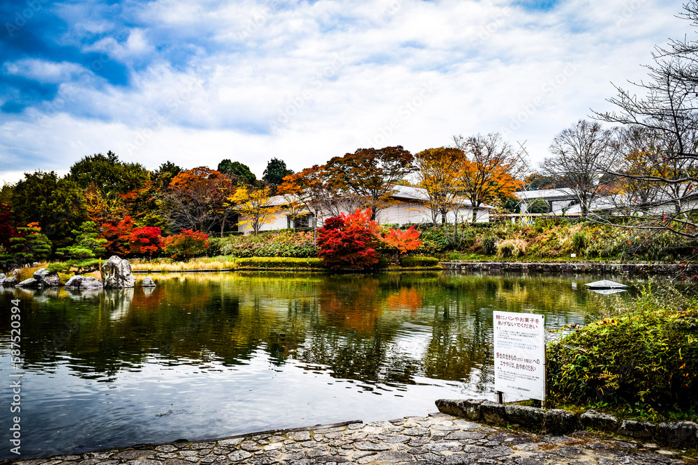 Obraz premium びわこ文化公園の風景と紅葉