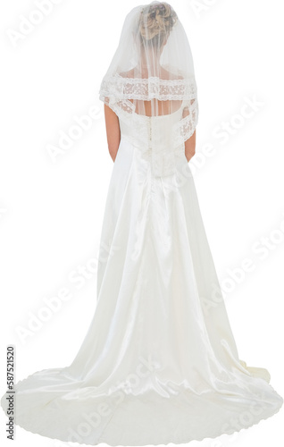 Rear view of bride in luxurious dress 