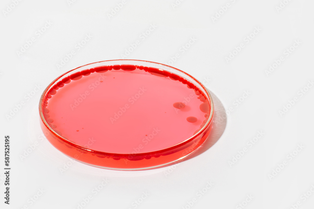 Petri dish on a light background. With red liquid, and interspersed with red drops. Round red circles on the water. Laboratory, blood, plasma. Study. Petri dish on a light background. With red liquid, and interspersed with red drops. Round red circles on the water. Laboratory, blood, plasma. Study.