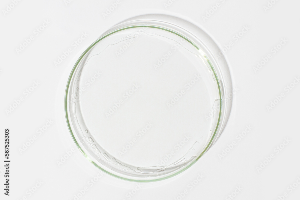 Petri dish on a light background. With a smear of clear gel. Cosmetic gel, lubricant, gel. View from above Petri dish on a light background. With a smear of clear gel. Cosmetic gel, lubricant, gel. View from above