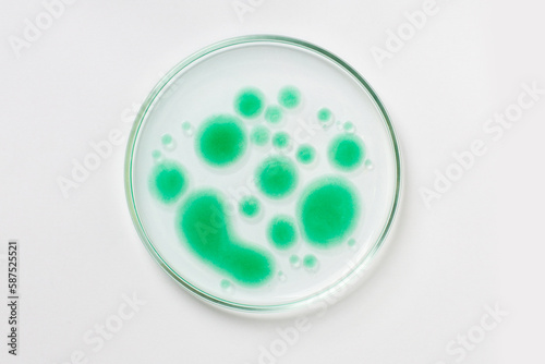 Petri dish on a light background. Green drops, bacteria. or viruses. Mold. Laboratory, biochemistry, chemistry, science. Study.