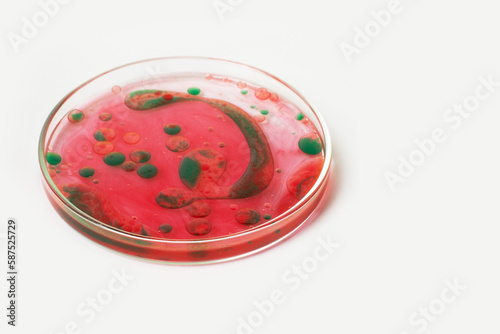 Petri dish on a light background. Green and red drops, bacteria. or viruses. Mold. Dilution. Laboratory, biochemistry, chemistry, science. Study.