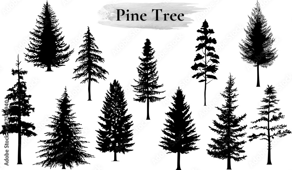 Pine tree vector illustration set. Black silhouette.