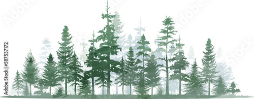 Forest trees watercolor vector illustration. Pine tree panorama view.