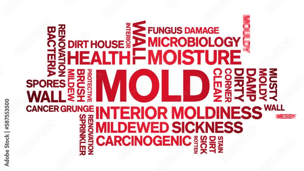 Mold animated tag word cloud;text design animation typography