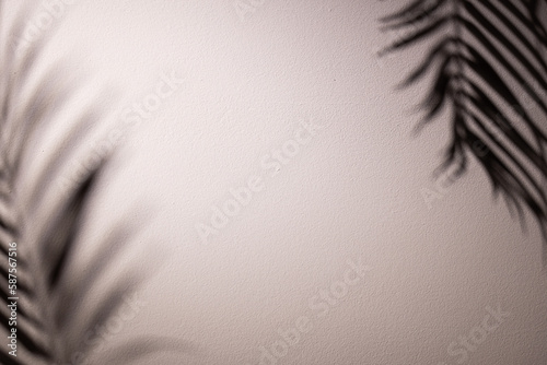 Close up of leaves shadows on white background with copy space