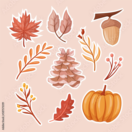 Autumn fall season with maple leaf and leaves with acorn, pinecone, pumpkins sticker element decoration