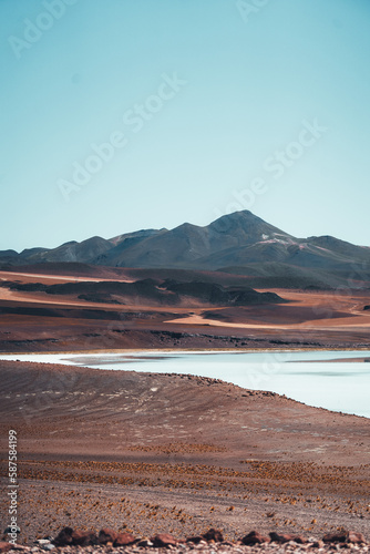 Piedras Rojas Red Rocks Lagoon in San Pedro de Atacama Chile