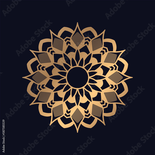 Luxury mandala background Design vector