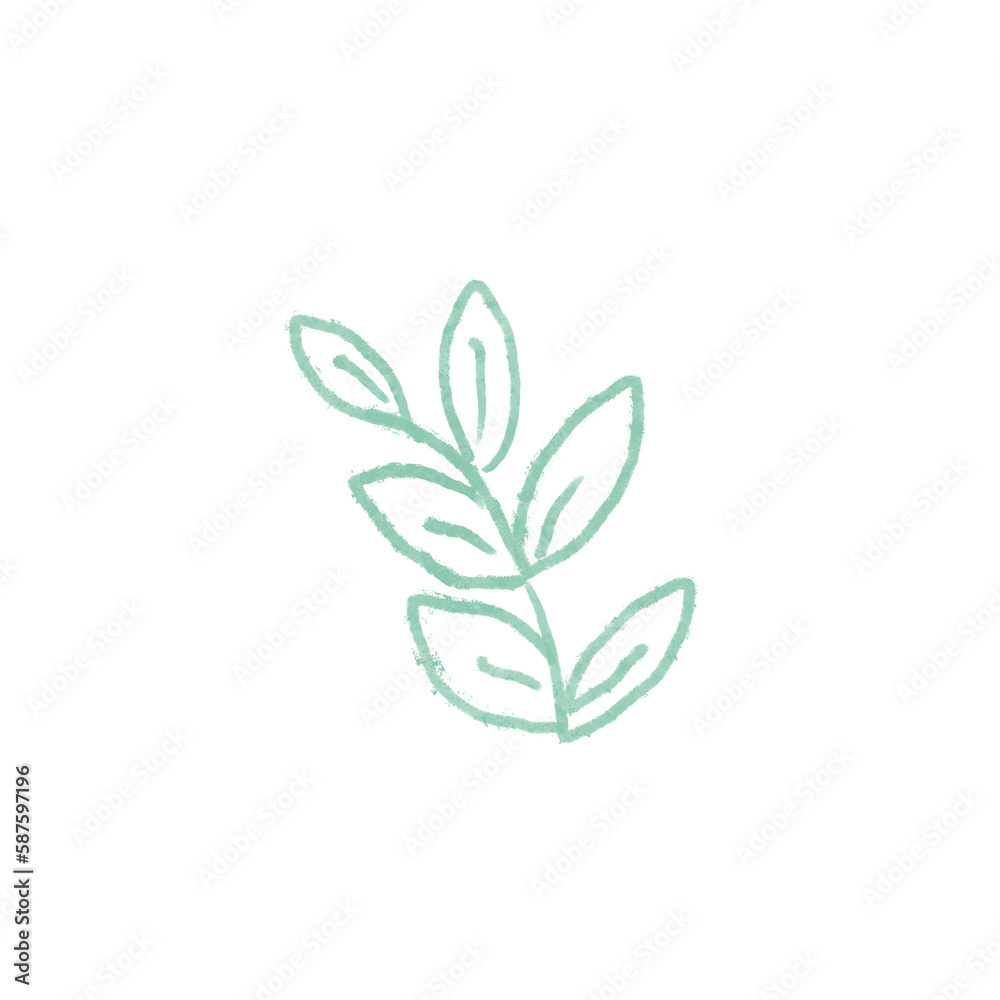 star on white background flash glitter ornament sun star bomb droplet bubble grey green star on white background flash glitter ornament sun star bomb droplet bubble grey green