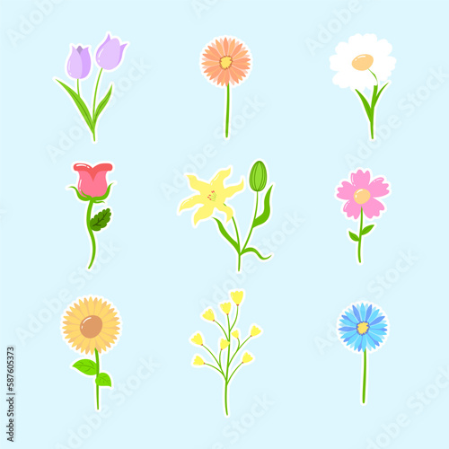 A set of flowers of various types