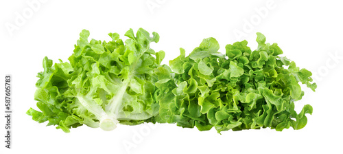 Lettuce vegatable isolated on transparent png