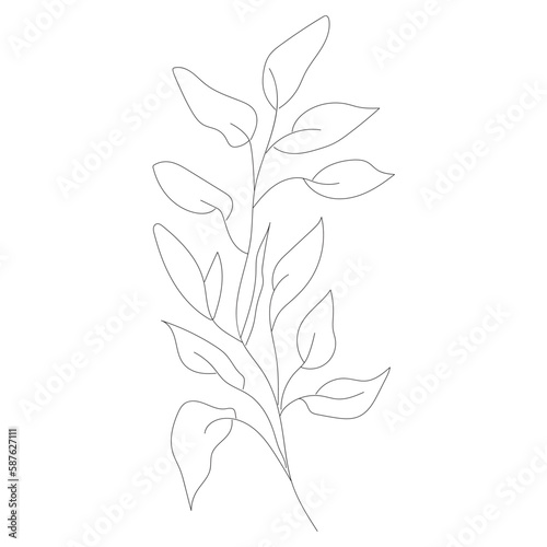 minimalist botanic icon, logo, design, vector illustration, one line drawing © skyhighup