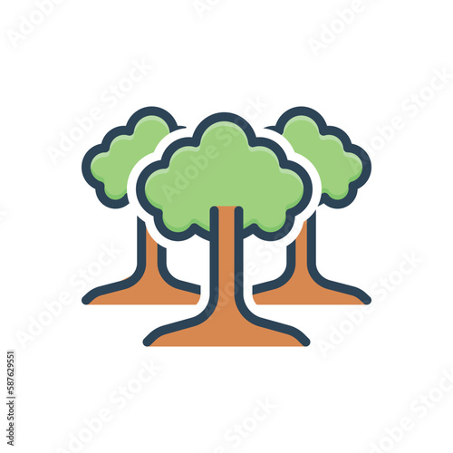 Color illustration icon for trees  photo
