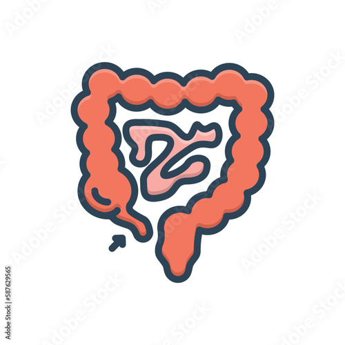 Color illustration icon for appendix  photo