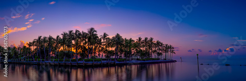Colorful Island Palm Tree Sunset © Bradley Alan Art